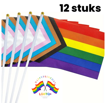 Allernieuwste.nl 12 STUKS Regenboog LGBT+ Intersekse Vlaggen met Stok - 14 x 21cm