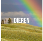 Dieren