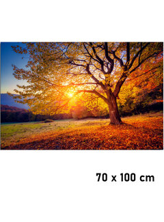 Allernieuwste.nl® Canvas Schilderij Zonsondergang in de Herfst - 70 x 100 cm