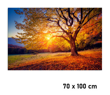 Allernieuwste.nl® Canvas Schilderij Zonsondergang in de Herfst - 70 x 100 cm
