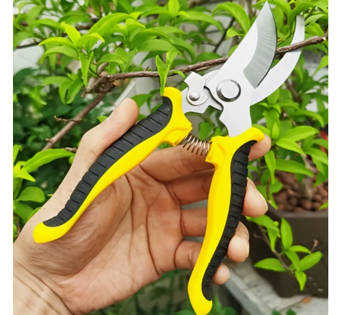 Allernieuwste.nl® Allernieuwste.nl® Tuin Snoeischaar Roestvrijstaal RVS Takkenschaar Bloemenschaar - Sterke Takken Schaar Snoei Schaar tot 22 mm Tuingereedschap voor Rechts- en Linkshandigen - RVS - Geel