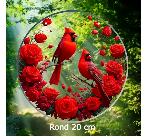 Allernieuwste.nl Allernieuwste.nl® Zonvanger voor Raam, Tuin & Woondecoratie – Perfect Cadeau - 20 x 20 cm