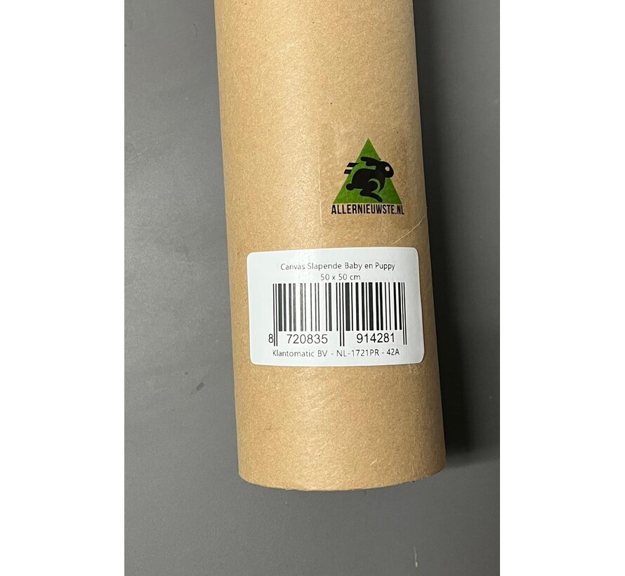 Allernieuwste.nl® Canvas Schilderij Slapende Baby en Puppy - Kunst aan je Muur - Romantisch - kleur - 50 x 50 cm