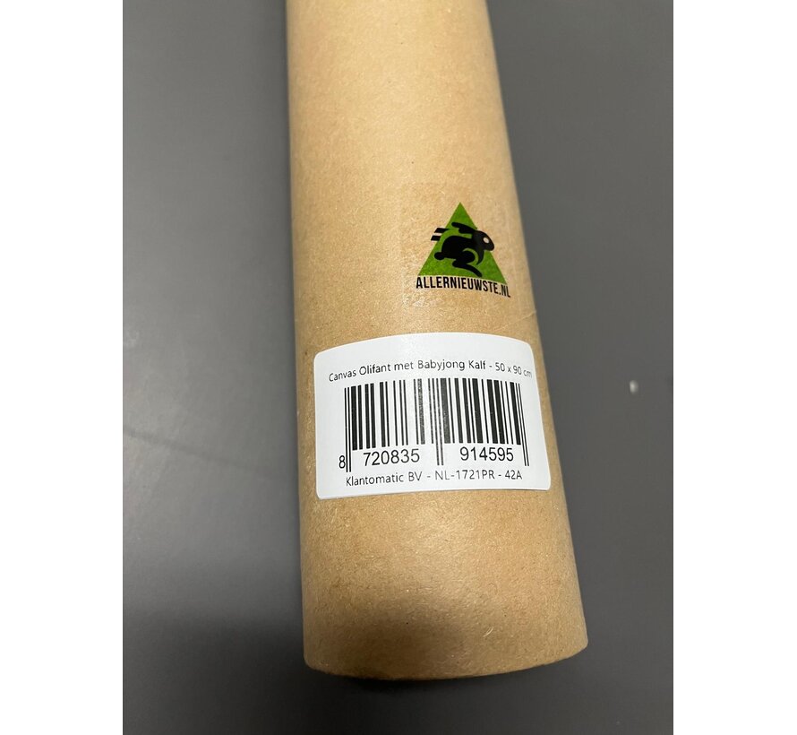 Allernieuwste.nl® Canvas Schilderij Olifant met Babyjong Kalf - Natuur - kleur - 50 x 90 cm