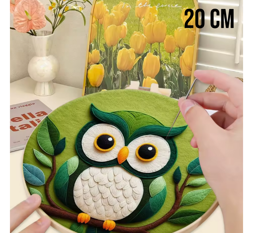 DIY Naaldvilt Wolvilt Pakket – Complete Starterset  Uil – Met Wol, Naalden, Borduurring & Handleiding – Creatief Hobbypakket voor Beginners & Gevorderden