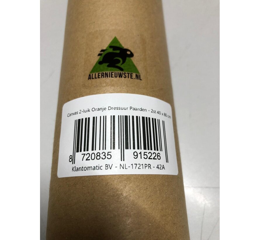 Allernieuwste.nl® 2-Delig Canvas Schilderij Oranje Dressuur Paarden - Modern - Sport - Poster - Set 2x: 40 x 80 cm - Kleur