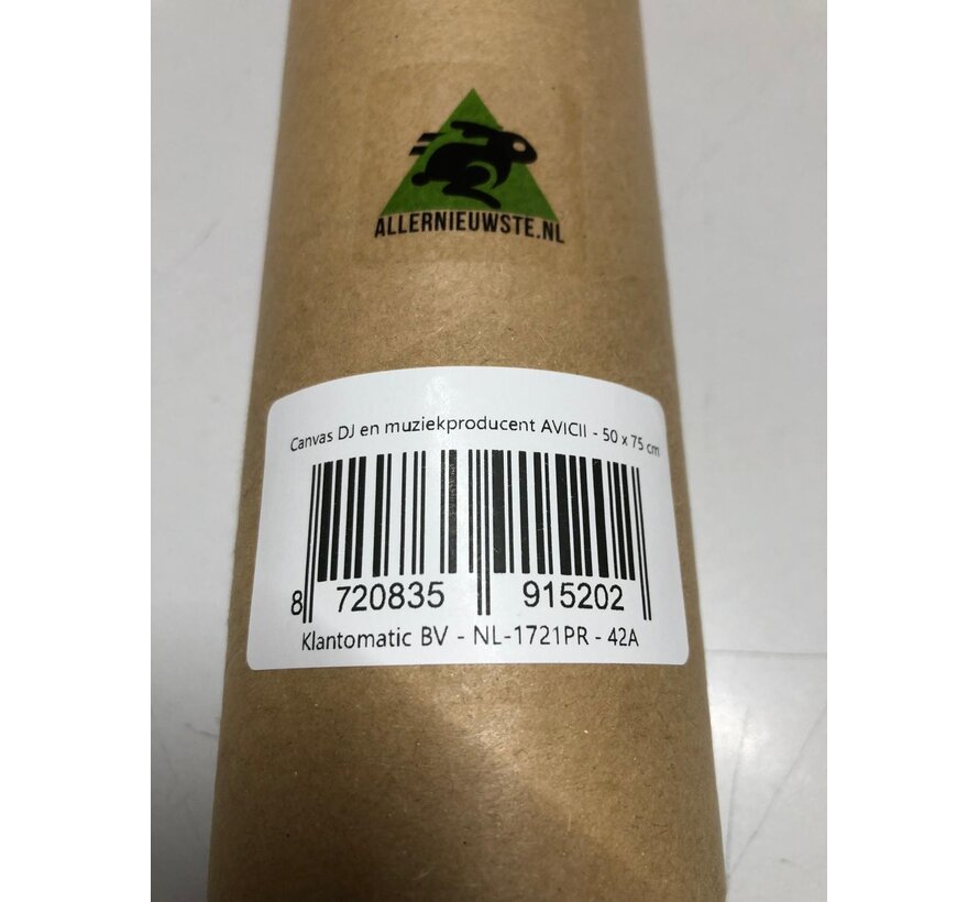 Allernieuwste.nl® Canvas Schilderij * DJ en muziekproducent AVICII * - Modern - kleur - 50 x 75 cm
