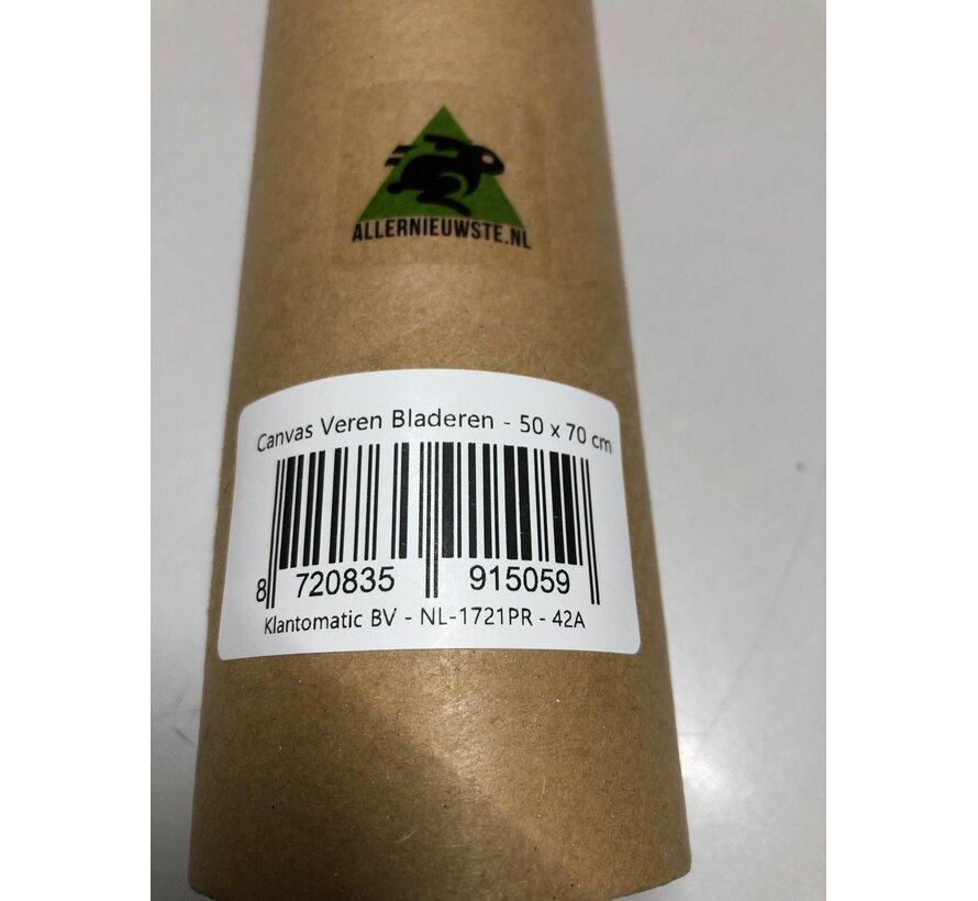 Allernieuwste.nl® Canvas Schilderij * Veren Bladeren * - Kunst Poster - Abstract - kleur - 50 x 70 cm