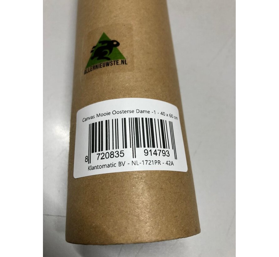 Allernieuwste.nl® Canvas Schilderij * Mooie Oosterse Dame -1 * - Modern - kleur - 40 x 60 cm