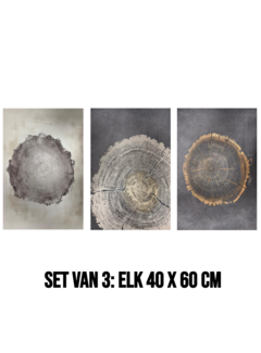 Allernieuwste.nl 3-Luik Canvas Schilderij Boomringen – 3st 40 x 60 cm