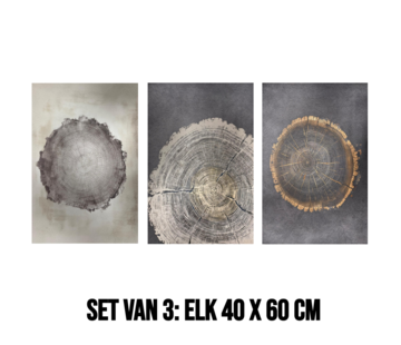 Allernieuwste.nl 3-Luik Canvas Schilderij Boomringen – 3st 40 x 60 cm