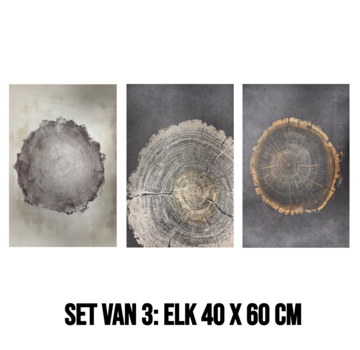 Allernieuwste.nl 3-Luik Canvas Schilderij Boomringen – 3st 40 x 60 cm