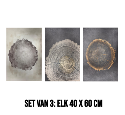 Allernieuwste.nl Allernieuwste.nl® 3-Luik Canvas Schilderij Boomringen – 40 x 60 cm – Natuur - Houtstructuur Muurdecoratie Set – Wanddecoratie – Posters