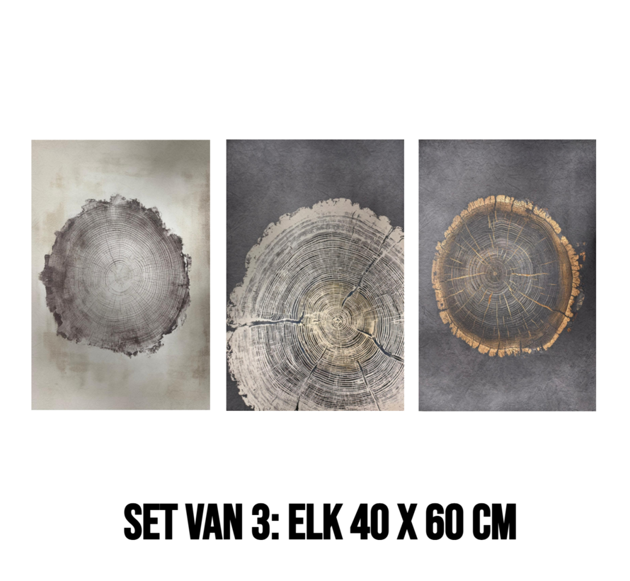 Allernieuwste.nl® 3-Luik Canvas Schilderij Boomringen – 40 x 60 cm – Natuur - Houtstructuur Muurdecoratie Set – Wanddecoratie – Posters