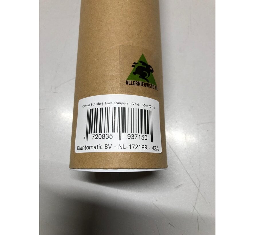 Allernieuwste.nl® Canvas Schilderij Twee Konijnen in Veld – 50 x 70 cm – Realistische Dierenkunst Muurdecoratie – Dieren - Wanddecoratie