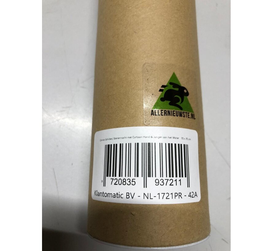 Allernieuwste.nl® Canvas Schilderij Sterrennacht met Cartoon Hond & Jongen aan het Water - 70x70 cm – Kunst Muurdecoratie – Wanddecoratie