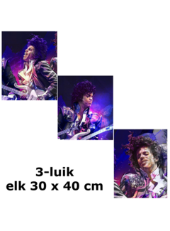 Allernieuwste.nl Canvas Schilderij 3-Luik Prince Purple Rain – 3st 30 x 40 cm