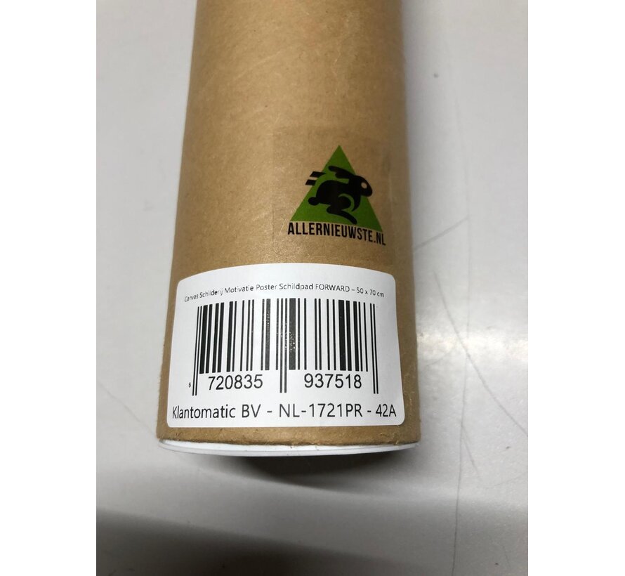 Allernieuwste.nl® Canvas Schilderij Motivatie Poster Schildpad FORWARD – 50 x 70 cm - Inspirerende Wanddecoratie – Muurdecoratie