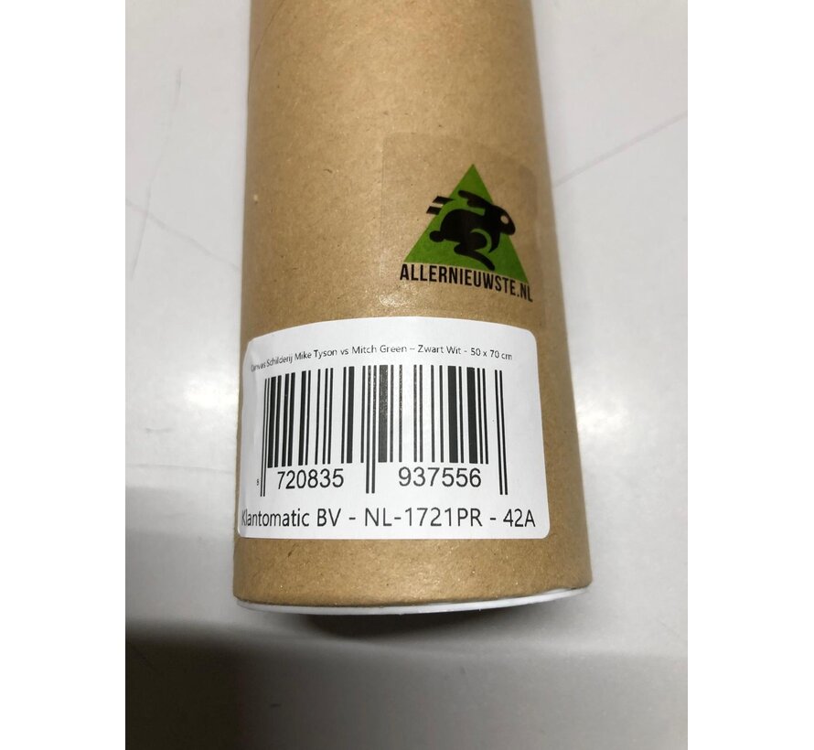 Allernieuwste.nl® Canvas Schilderij Mike Tyson vs Mitch Green – 50 x 70 cm - Zwart Wit - Boksen Wanddecoratie – Muurdecoratie