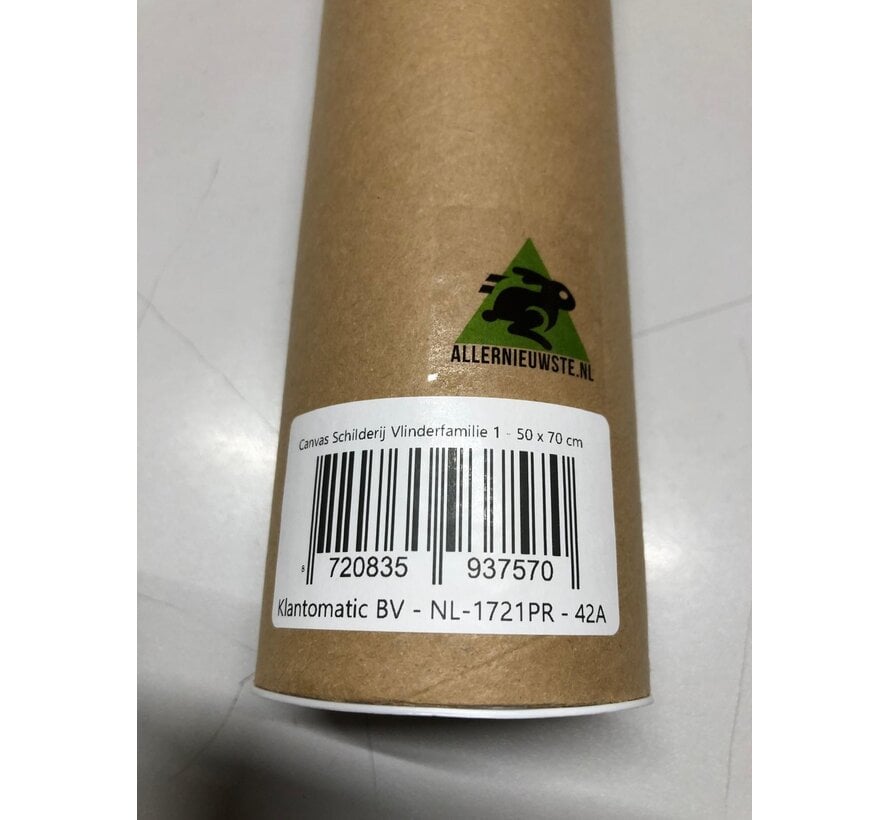 Allernieuwste.nl® Canvas Schilderij Vlinderfamilie 1 - 50 x 70 cm - Kleurrijke Natuur Wanddecoratie – Dieren – Muurdecoratie