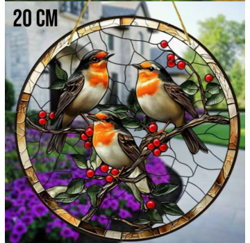 Allernieuwste.nl Raamhanger Drie Levendige Roodborstjes - 20 x 20 cm