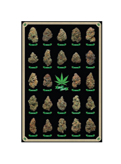 Allernieuwste.nl® Canvas Schilderij De beste Bloemtoppen Wiet Knoppen - Cannabisposter-print - Kleur - 50 x 70 cm