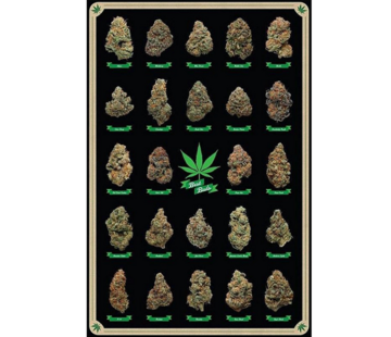 Allernieuwste.nl® Canvas Schilderij De beste Bloemtoppen Wiet Knoppen - Cannabisposter-print - Kleur - 50 x 70 cm