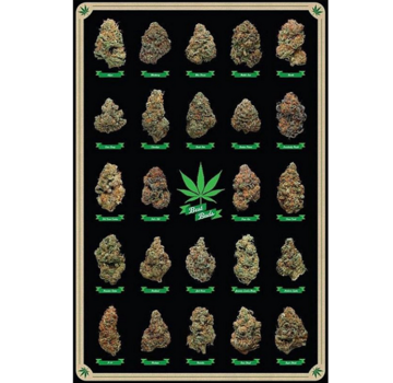 Allernieuwste.nl® Canvas Schilderij De beste Bloemtoppen Wiet Knoppen - Cannabisposter-print - Kleur - 50 x 70 cm