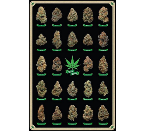 Allernieuwste.nl® Canvas Schilderij De beste Bloemtoppen Wiet Knoppen - Cannabisposter-print - Kleur - 50 x 70 cm