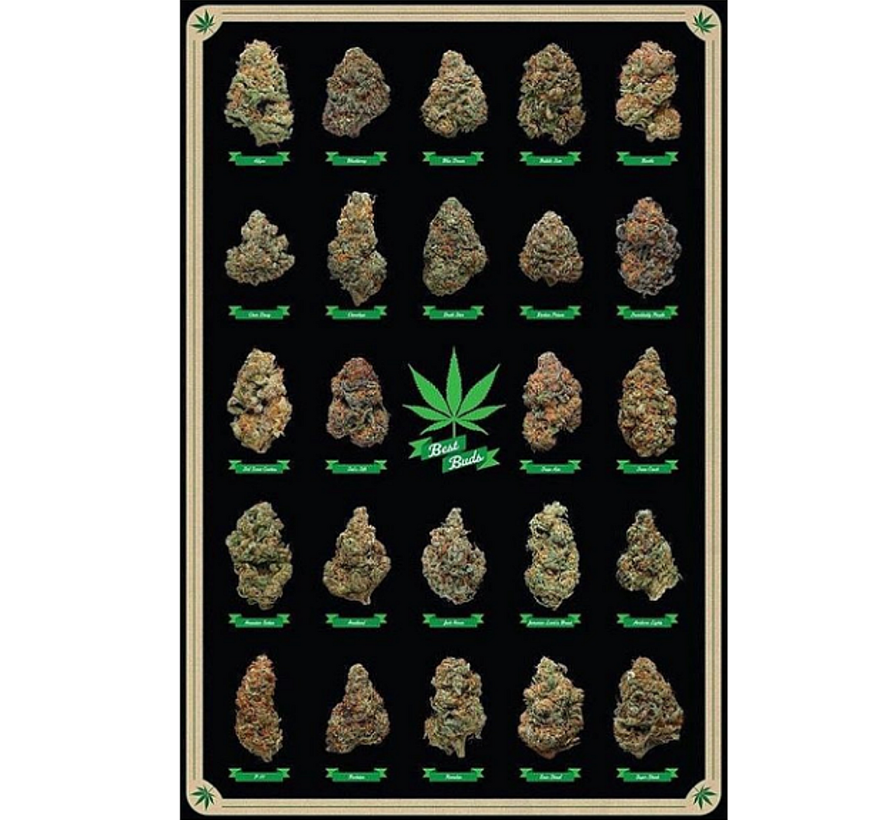 Canvas Schilderij De beste Bloemtoppen Wiet Knoppen - Cannabisposter-print - Kleur - 50 x 70 cm