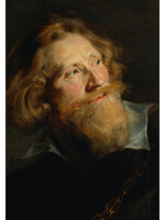 krasse koppen Prentkaart - Peter Paul Rubens, Hoofdstudie van een man met baard