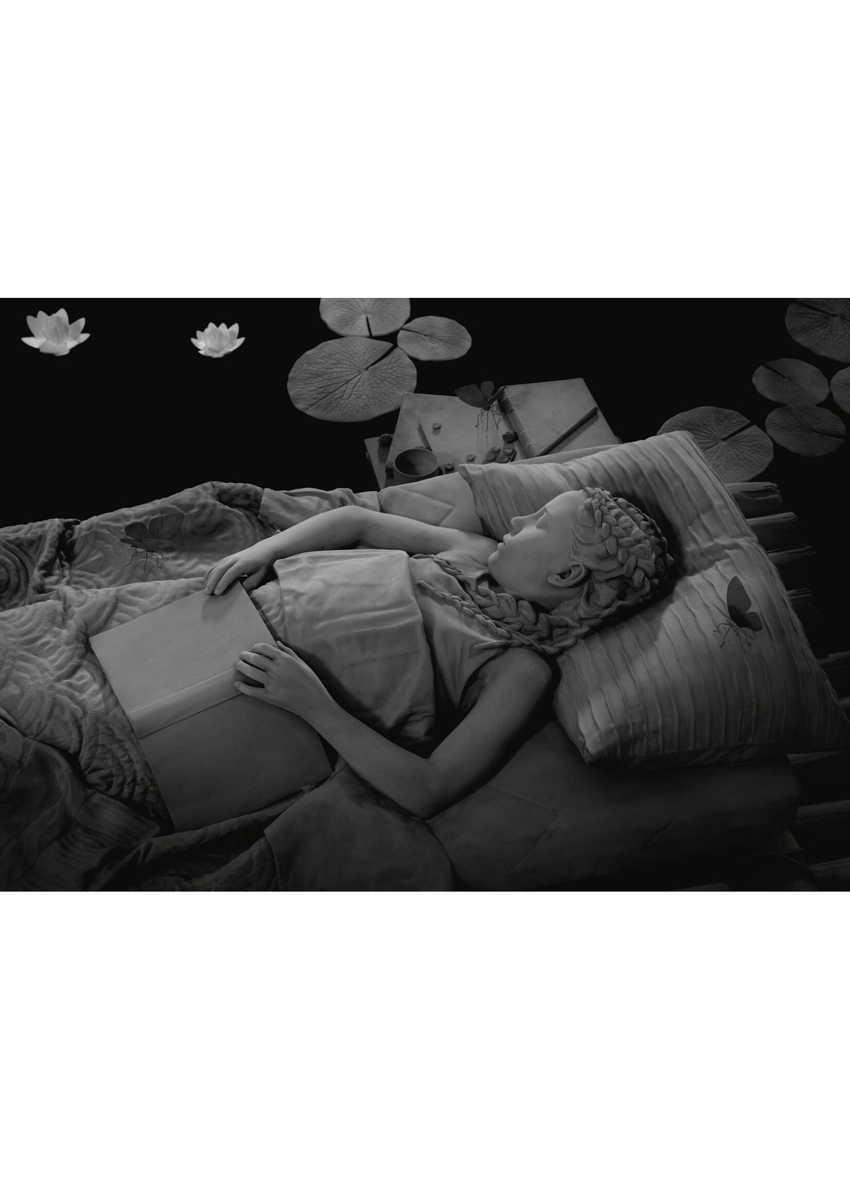 Hans Op de Beeck Postcard Hans Op de Beeck - My bed a raft, the room the sea, and then I laughed some gloom in me