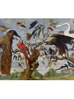 Brillendoekje - Paul de Vos, Vogelconcert