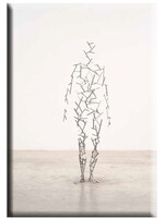 Gormley Magnet - Gormley, Domain XCVII