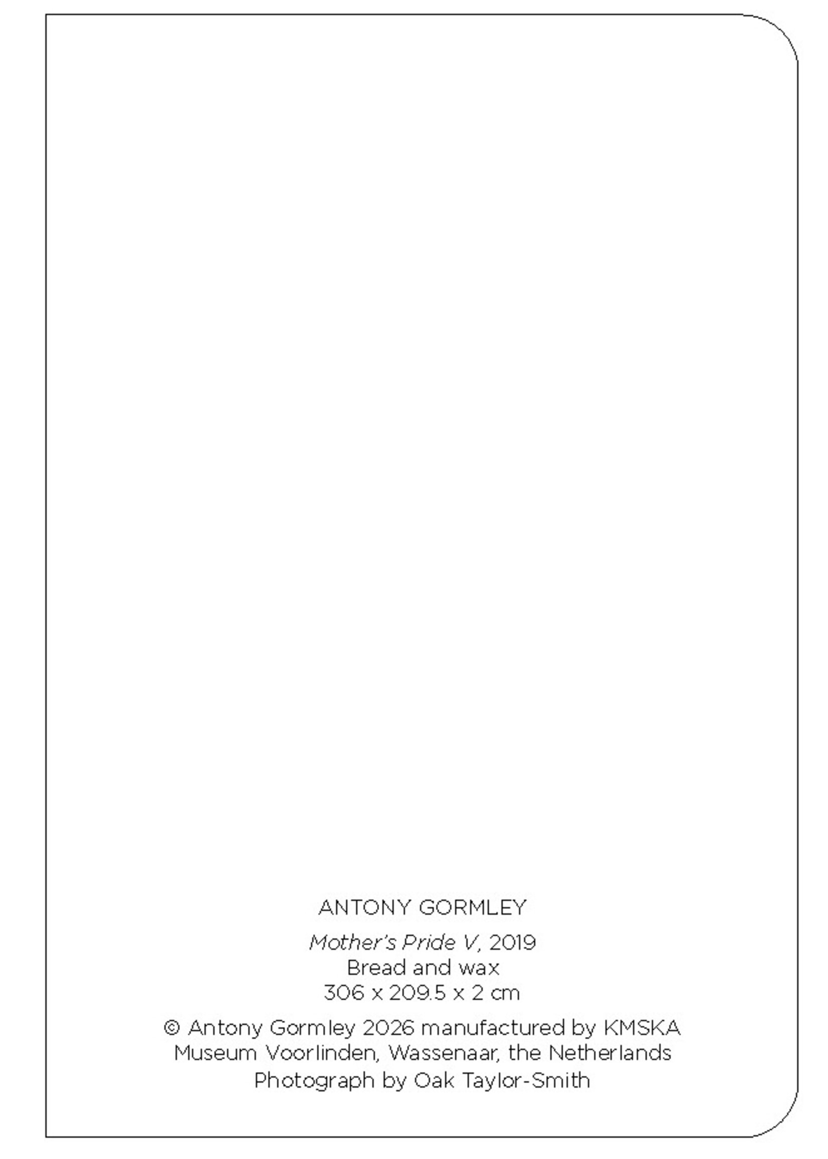 Gormley Schriftje - Gormley, Mother's Pride V, 2019