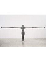 Gormley Postcard - Gormley, Field, 1984 - 1985