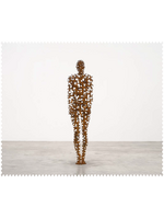 Antony Gormley Lens cloth - Gormley