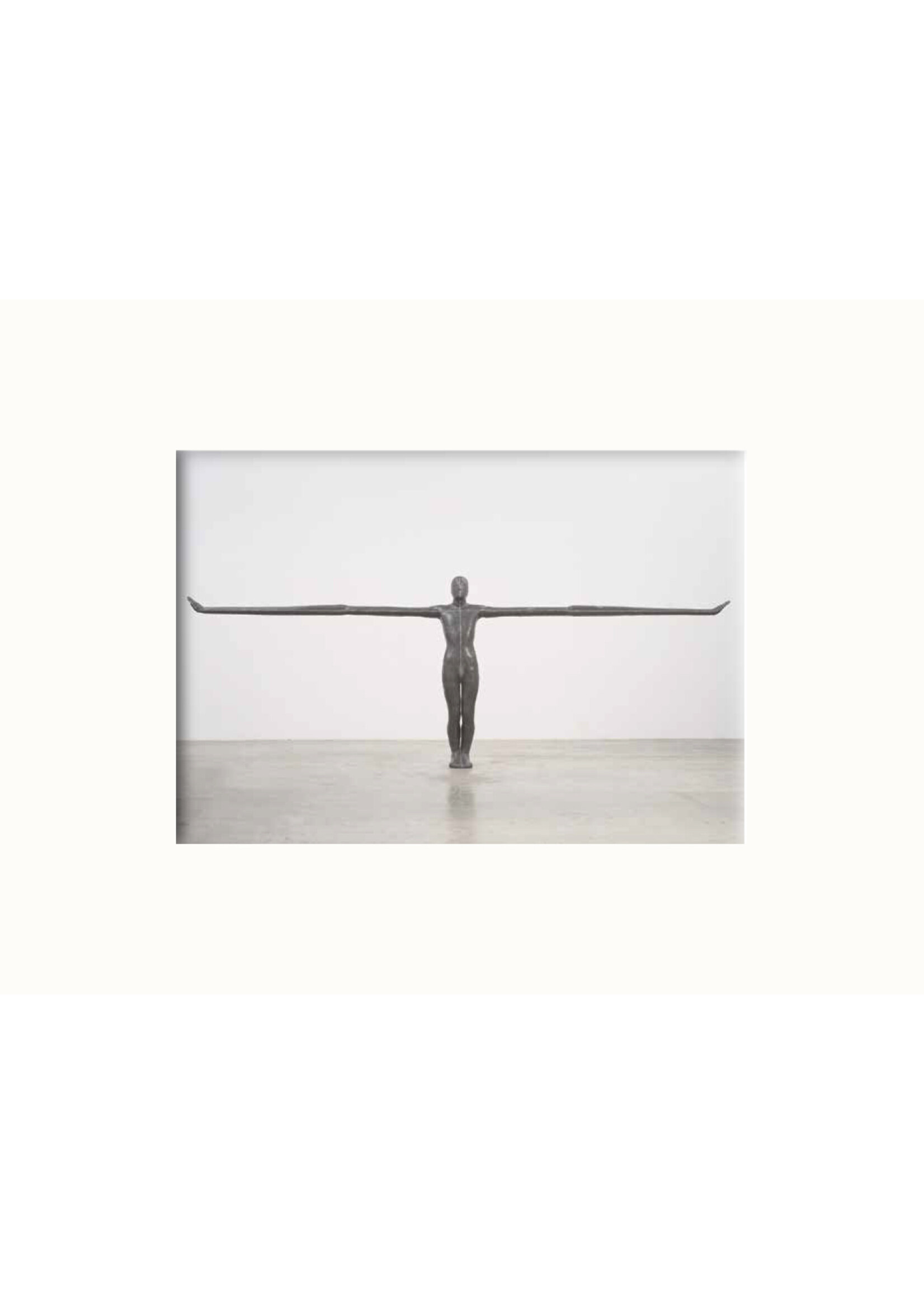 Antony Gormley Passe Partout - Antony Gormley - Field, 1984-1985