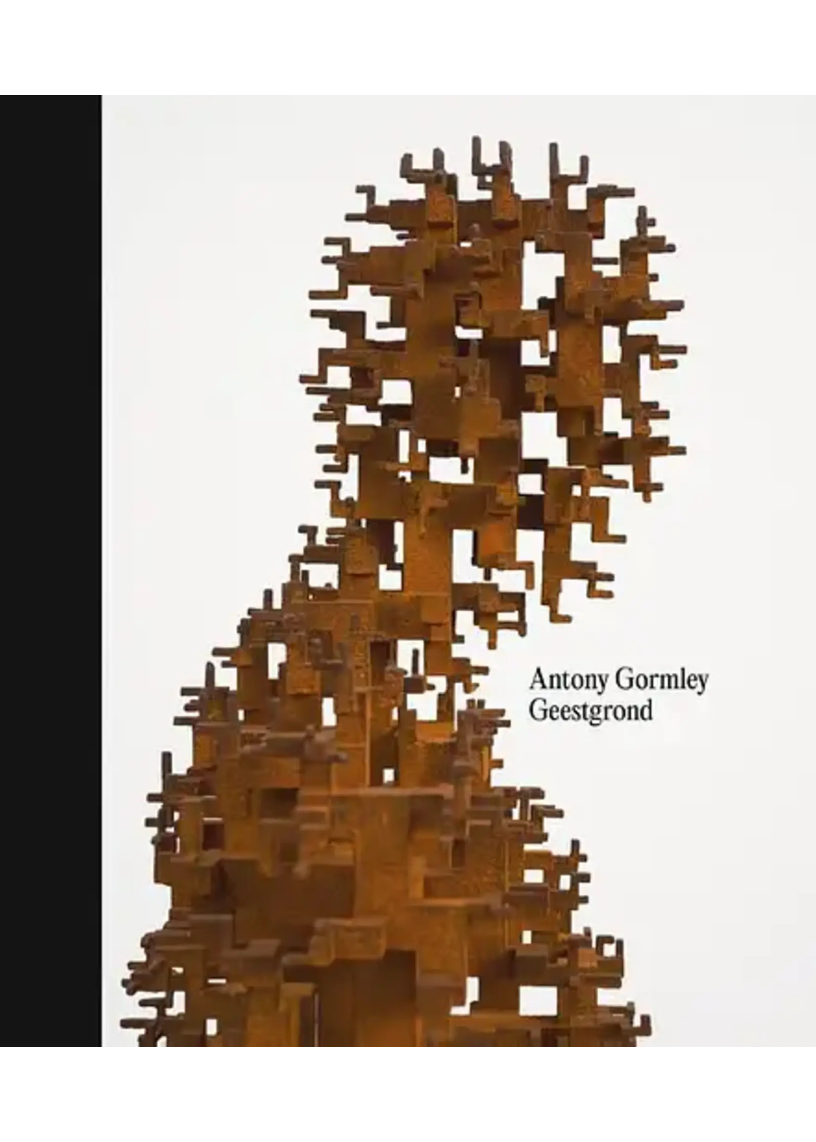 Antony Gormley Geestgrond - Antony Gormley - EN