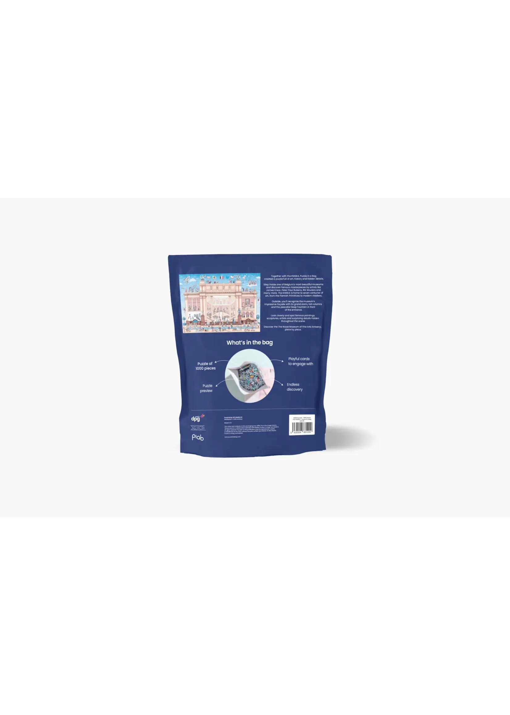 Dpg Puzzle in a bag