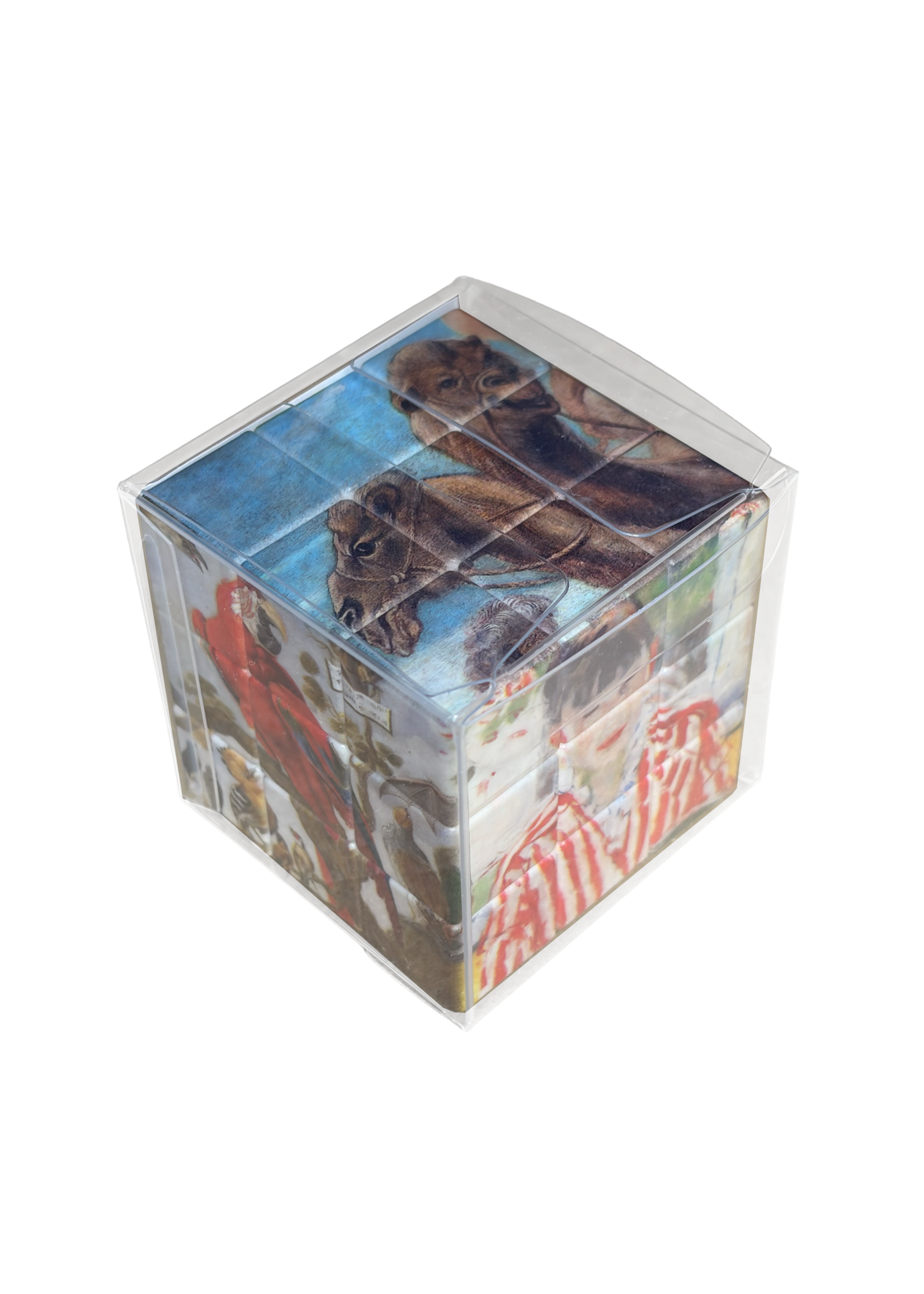 Artist Inspired Rubiks Cube