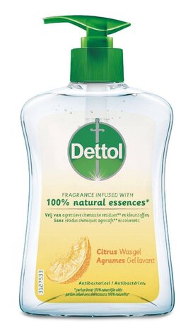 Dettol Dettol Wasgel Citrus 250ml