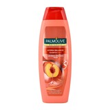 Palmolive Palmolive Shampoo 2in1 - Hydra Balance 350 ml Palmolive Palmolive Shampoo 2in1 - Hydra Balance 350 ml