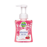 Dettol Dettol Handzeep Zachte Mousse Roos & Kersenbloesem - 250 ml Dettol Dettol Handzeep Zachte Mousse Roos & Kersenbloesem - 250 ml