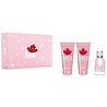 Dsquared2 Dsquared2 Wood Woman Set EDT 50ml + BL 100ml + SG 100ml Dsquared2 Dsquared2 Wood Woman Set EDT 50ml + BL 100ml + SG 100ml