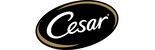 Cesar