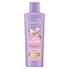 Andrélon Andrelon Shampoo - Extra Glans 250ml