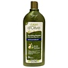 Dalan Dalan d'Olive Shampoo - Anti Roos 400ml