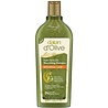 Dalan Dalan d'Olive Shampoo - Repairing Care 400ml