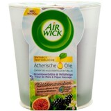 Airwick Air Wick Scented Candle 105gr Blackberry Blossom & Wild Fig